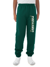 Load image into Gallery viewer, Youth Sweatpants
